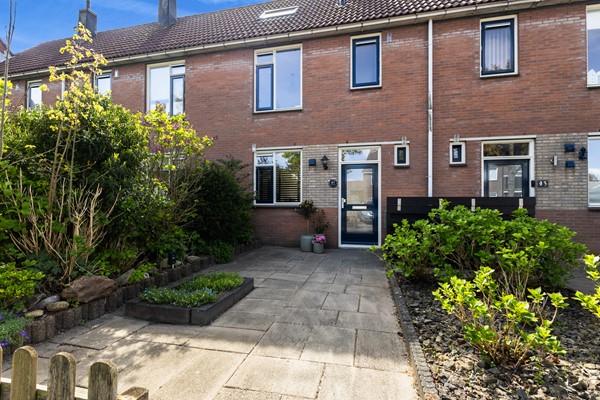 Scholekster 41_05.jpg